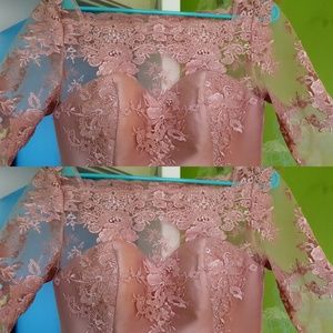 Pink champagne lace, silk, tea cut dress